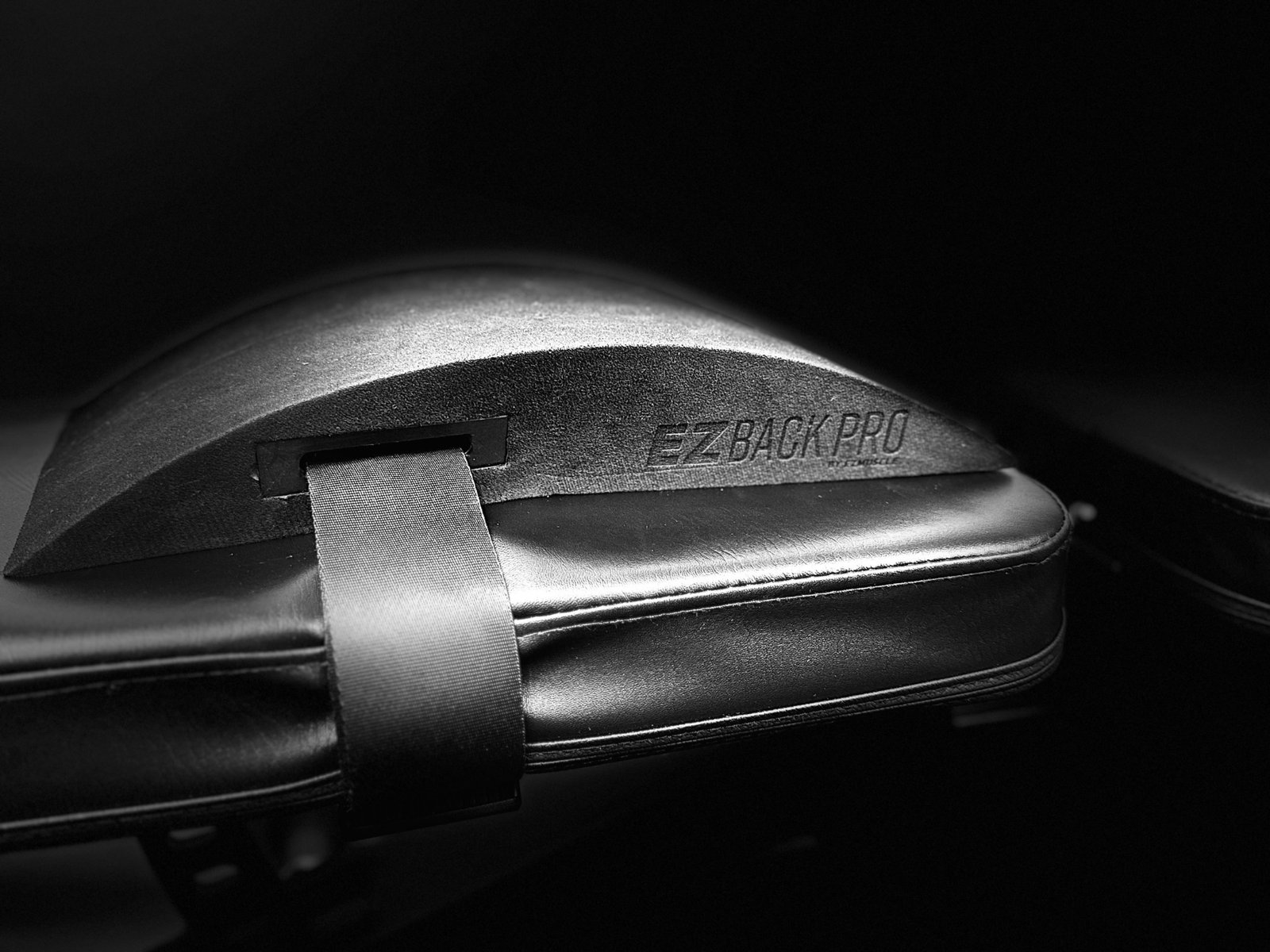 EZBack Pro Level 1 Beginner Baseline curvature